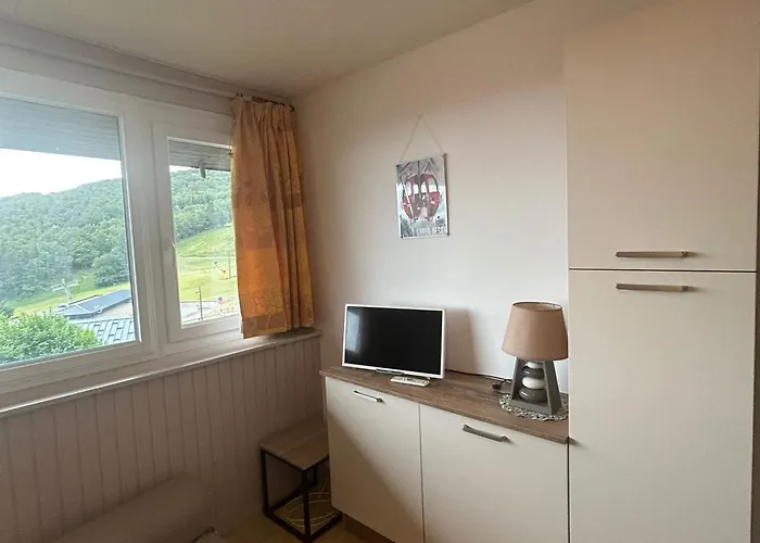 Moderne Rénové Aux Pieds Des Pistes à - Fr-1-814-122 * Super-Besse