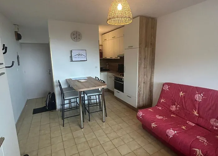 Appartement Moderne Rénové Aux Pieds Des Pistes à - Fr-1-814-122 *