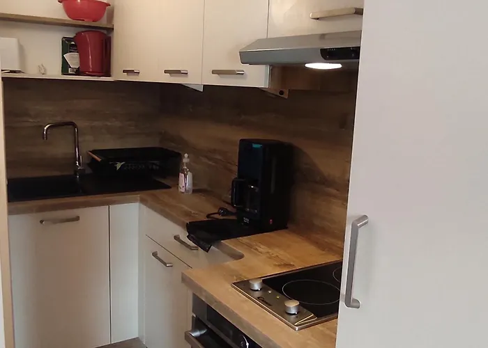 Moderne Rénové Aux Pieds Des Pistes à - Fr-1-814-122 * Super-Besse