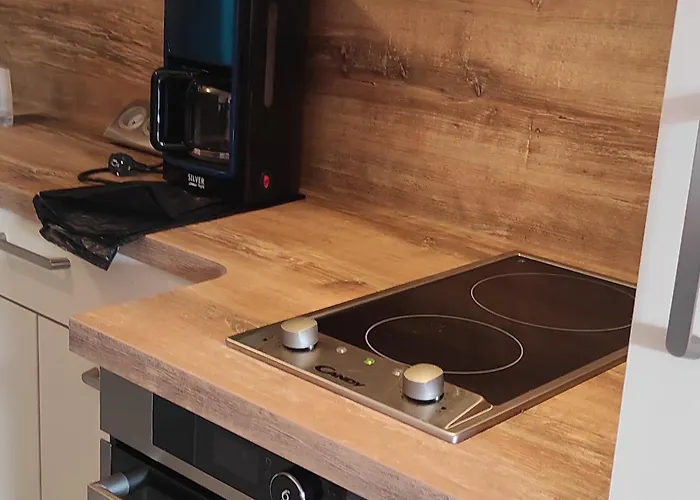 Moderne Rénové Aux Pieds Des Pistes à - Fr-1-814-122 Appartement Super-Besse